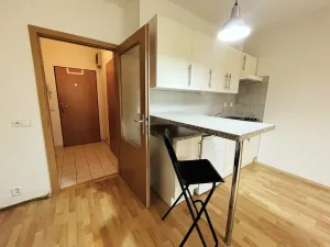 Pronájem bytu 1+kk, Brno - Líšeň, Molákova, 43 m2