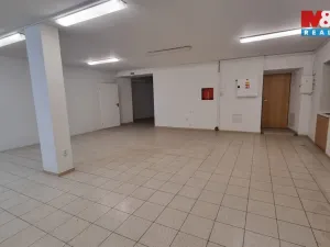 Pronájem obchodního prostoru, Český Těšín, Ostravská, 230 m2