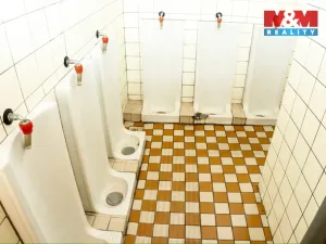 Pronájem obchodního prostoru, Hradešice, 345 m2