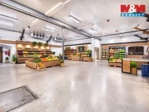 Prodej skladu, Liberec - Liberec IV-Perštýn, Košická, 826 m2