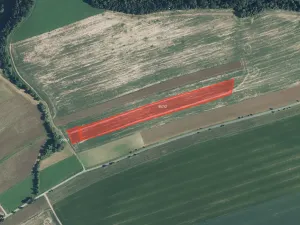 Prodej pole, Bílá Třemešná, 23039 m2