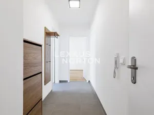 Pronájem bytu 3+kk, Praha - Žižkov, Olgy Havlové, 69 m2