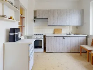 Prodej rodinného domu, Hodonín, Závodní, 99 m2
