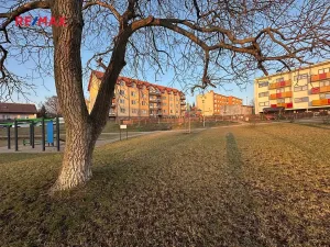 Pronájem bytu 2+1, Kralovice, Na Palcátech, 72 m2