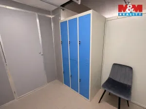 Pronájem komerční nemovitosti, Praha - Nové Město, Opletalova, 16 m2