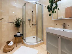 Pronájem bytu 3+1, České Budějovice, Nová, 47 m2