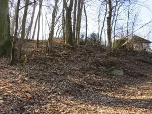 Prodej lesa, Čerčany, 394 m2