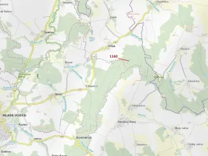 Dražba lesa, Vilice, 2693 m2