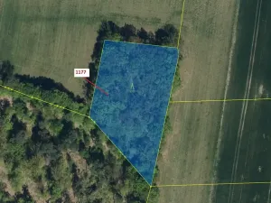 Dražba lesa, Vlčí Habřina, 4658 m2