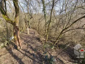 Prodej zahrady, Brno, Turistická, 207 m2