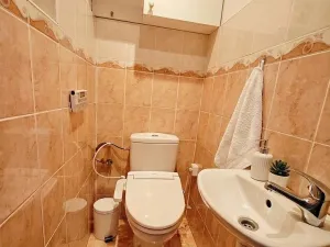 Pronájem bytu 2+1, Praha - Břevnov, Tomanova, 43 m2