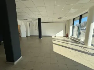 Pronájem obchodního prostoru, Praha - Hlubočepy, Wassermannova, 84 m2