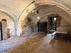 Prodej vinného sklepa, Dolní Věstonice, 54 m2