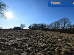 Prodej pozemku pro bydlení, Mirotice, 9991 m2