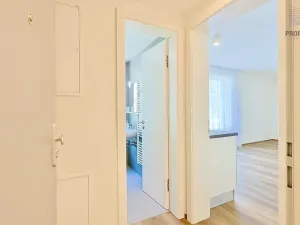 Pronájem bytu 1+kk, Brno, Bystrcká, 30 m2