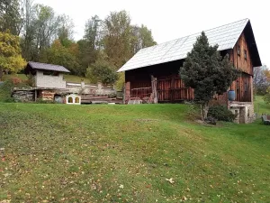 Prodej rodinného domu, Držkov, 360 m2