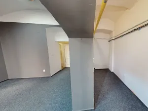 Pronájem obchodního prostoru, Praha - Bubeneč, Čechova, 55 m2
