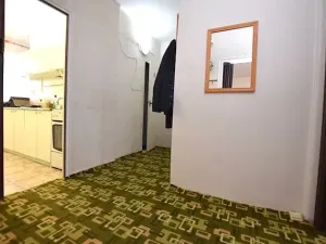 Prodej bytu 2+1, Tábor, 49 m2
