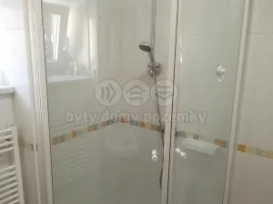 Pronájem bytu 3+1, Brušperk, K náměstí, 120 m2