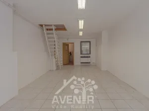 Prodej obchodního prostoru, Hodonín, Dolní Valy, 69 m2