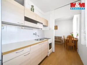 Prodej bytu 3+kk, Třebechovice pod Orebem - Nepasice, 73 m2