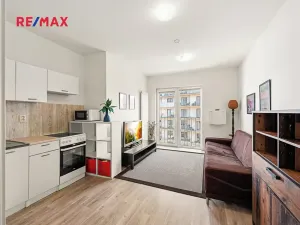 Prodej bytu 1+kk, Praha - Libeň, Novovysočanská, 24 m2