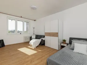 Pronájem bytu 1+1, Ostrava - Zábřeh, 37 m2