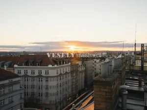 Prodej bytu 4+kk, Praha - Žižkov, Vinohradská, 139 m2