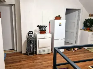 Pronájem atypického bytu, Janovice v Podještědí, 16 m2