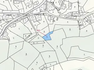 Dražba louky, Zlatá Olešnice, 438 m2