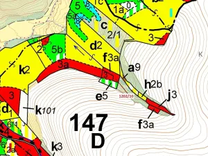 Dražba lesa, Čestín, 557 m2