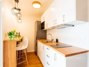 Pronájem pokoje, Praha - Žižkov, Roháčova, 12 m2