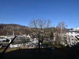 Prodej bytu 2+1, Jeseník, Seifertova, 54 m2