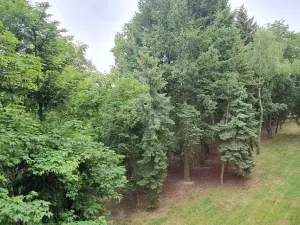 Pronájem bytu 2+1, Praha - Břevnov, Boučkova, 53 m2