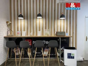 Pronájem restaurace, Plzeň, Zbrojnická, 30 m2