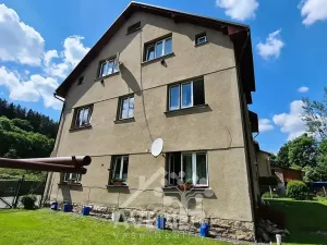 Pronájem bytu 1+1, Plavy, 45 m2