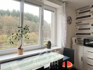 Pronájem bytu 1+1, Plavy, 45 m2