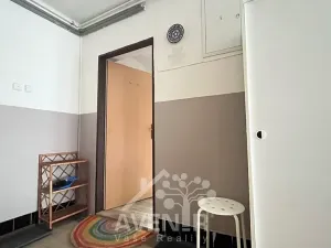 Pronájem bytu 1+1, Plavy, 45 m2