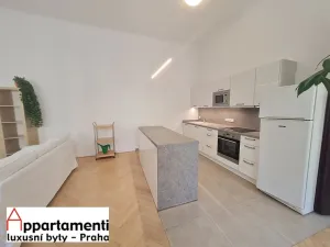 Pronájem bytu 2+kk, Praha - Nové Město, Štěpánská, 71 m2