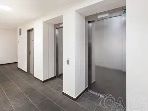 Prodej bytu 1+kk, Praha - Hloubětín, Poděbradská, 32 m2