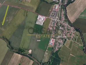 Prodej podílu pole, Holasice, 3024 m2