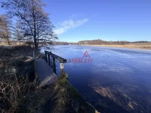 Prodej lesa, Čistá, 1294 m2