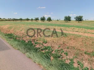 Prodej pole, Moravský Písek, 11506 m2