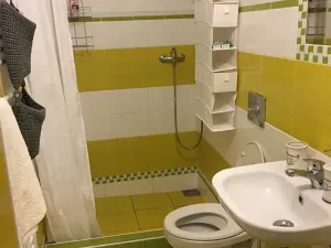 Prodej ubytování, Olomouc, Rejskova, 154 m2