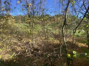 Dražba pozemku, Lučany nad Nisou, 449 m2