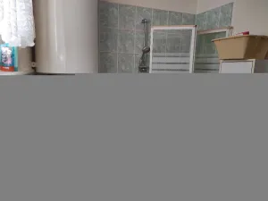 Prodej obchodního prostoru, Mladá Vožice, Husovo náměstí, 264 m2