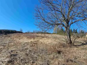 Prodej pozemku pro bydlení, Dětřichov nad Bystřicí, 3937 m2