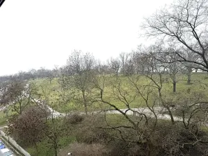 Pronájem bytu 1+kk, Praha - Žižkov, Kališnická, 40 m2