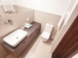 Pronájem bytu 2+kk, Brno, V rejích, 49 m2