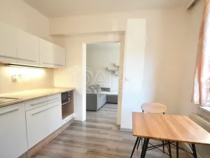 Prodej bytu 1+1, Milovice, Višňová, 42 m2